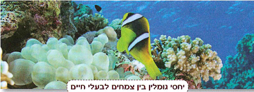 (בספר תמונה:) יחסי גומלין בין צמחים לבעלי חיים
